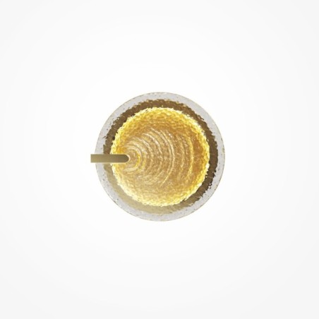 LED Wall Sconce Regatta (5W)