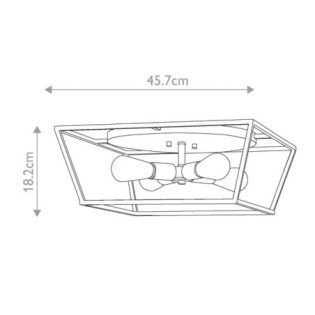 Fulton ceiling light (4 lights)