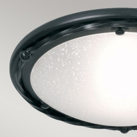 Pembroke Ceiling Light