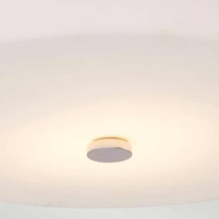 Tamar Ceiling Light