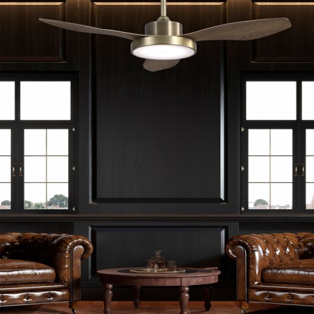 LED Ceiling Fan Hurricane II CCT Dim (24W)