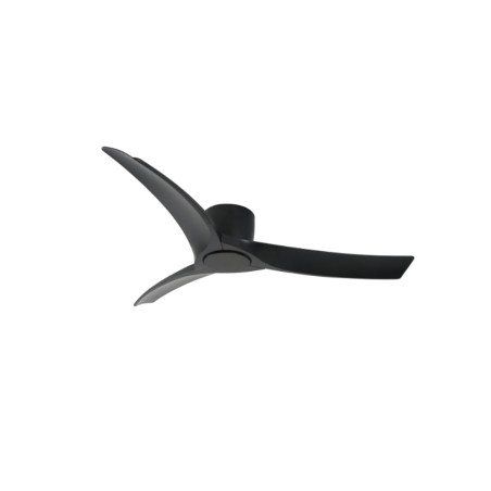 Celing Fan Solano