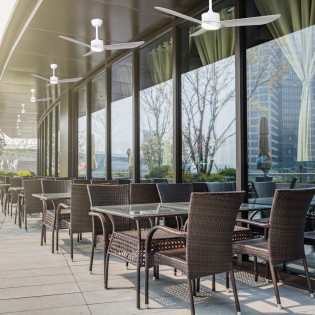 LED Celing Fan Caurus CCT...