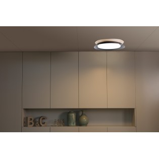 Flush Light LED Tender (24W)