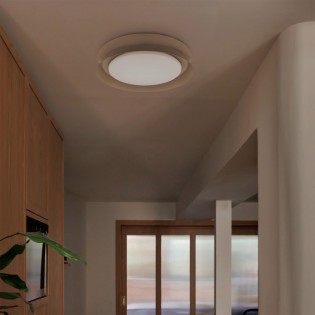 Ceiling Flush Light LED Tender II (24W)
