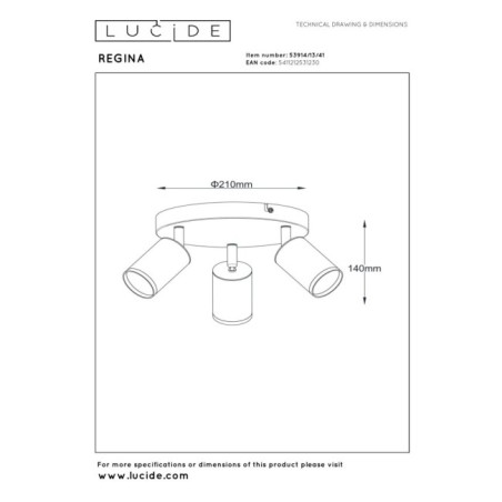 Regina ceiling flush light (3 lights)