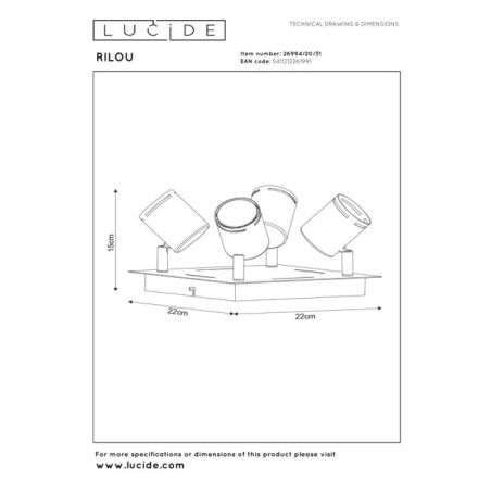Rilou ceiling flush light (4 lights)