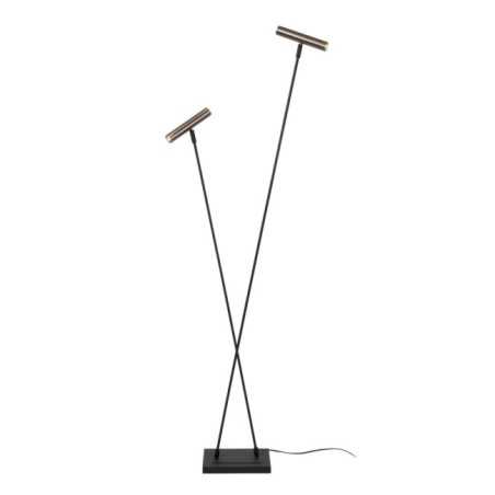 Duarte Floor Lamp (2 lights)