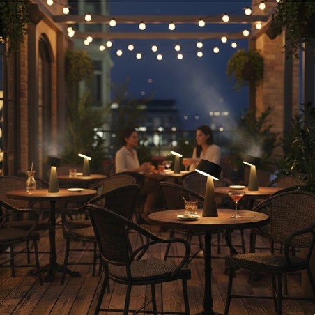 Meri Green Solar Rechargeable LED Table Lamp (3W)