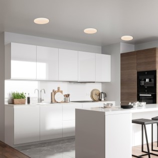 LED Ceiling Flush Light Vic...