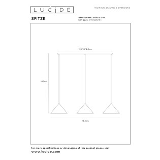 Spitze I Pendant Lamp (3 lights)