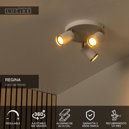 Regina ceiling flush light (3 lights)