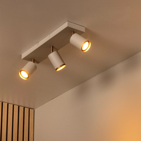 Regleta de techo Regina (3 luces)