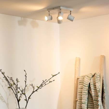 Rilou ceiling flush light (4 lights)