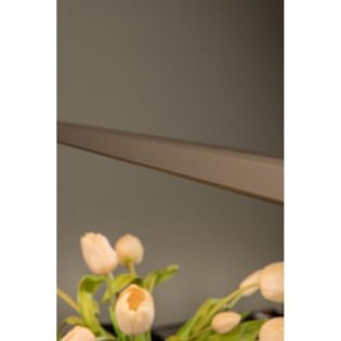 Braga LED Pendant Lamp (36W)