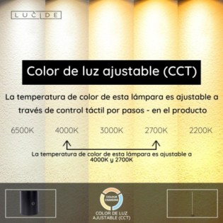 Braga CCT Dim LED floor lamp (22W)