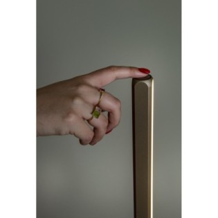 Braga CCT Dim LED floor lamp (22W)