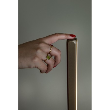 Braga CCT Dim LED floor lamp (22W)