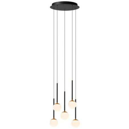 Calina LED Pendant Lamp (5x7.4W)