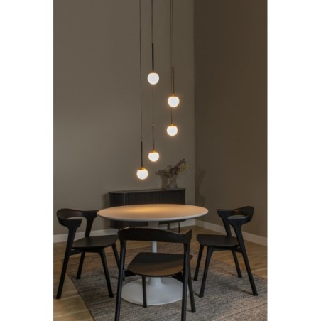 Calina LED Pendant Lamp (5x7.4W)