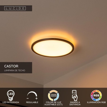 LED Ceiling Light Castor (20W)