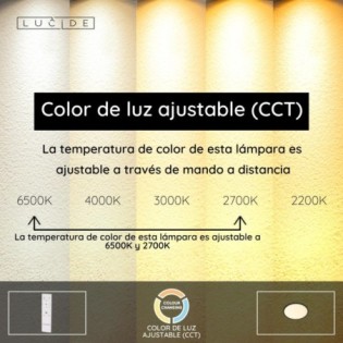 LED Ceiling Light Castor (20W)