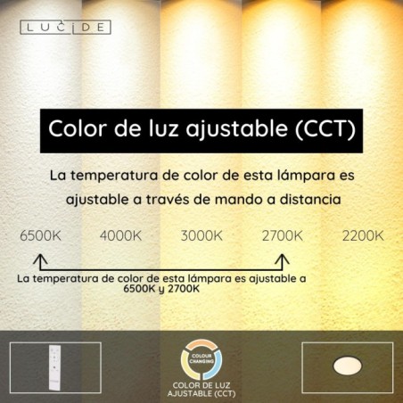LED Ceiling Light Castor (20W)