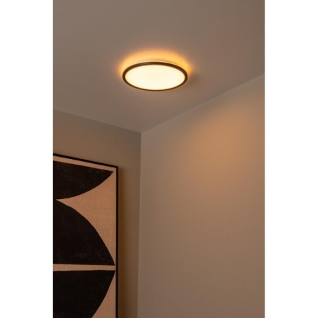 LED Ceiling Light Castor (20W)