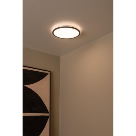 LED Ceiling Light Castor (20W)