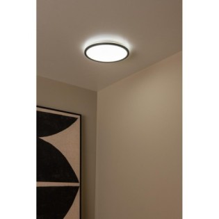 LED Ceiling Light Castor (20W)