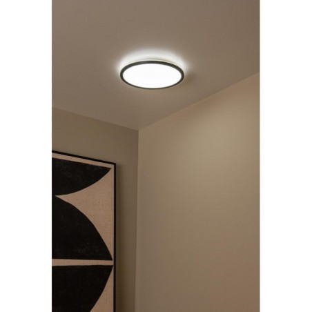 LED Ceiling Light Castor (20W)