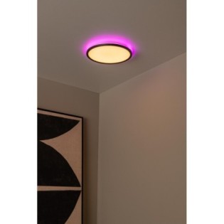 LED Ceiling Light Castor (20W)