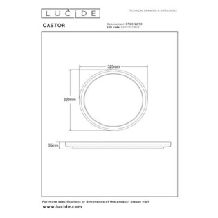 LED Ceiling Light Castor (20W)