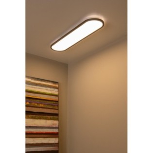 LED Ceiling Panel Elly (36W)