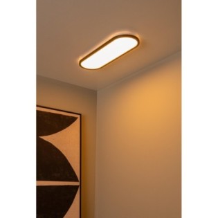 LED Ceiling Panel Elly (24W)