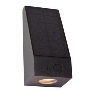 Irwin Outdoor LED Wall Light (2W)