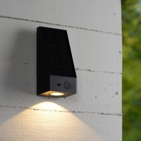 Irwin Outdoor LED Wall Light (2W)