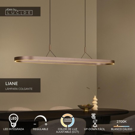 LED Pendant Lamp Liane (40W)
