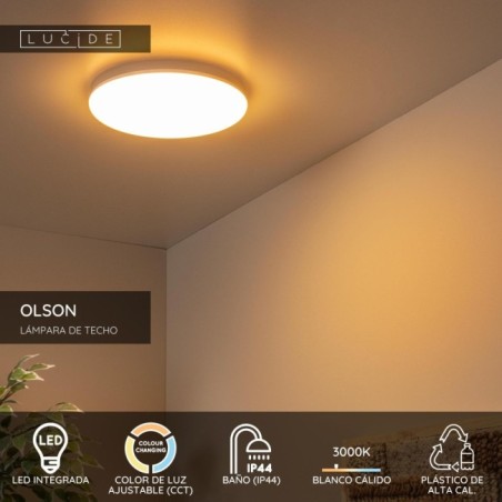 Olson LED Ceiling Light for Bathrooms (24W)