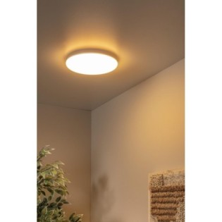 Olson LED Ceiling Light for Bathrooms (24W)