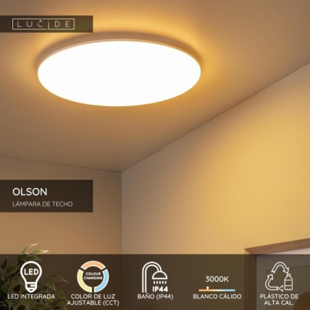 Olson LED Ceiling Light for Bathrooms (45W)