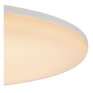 Olson LED Ceiling Light for Bathrooms (45W)