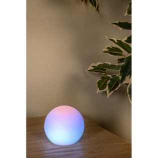 Outdoor LED Pine Table Lamp (1W)