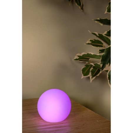 Outdoor LED Pine Table Lamp (1W)