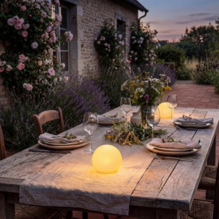 Outdoor LED Pine Table Lamp (1W)