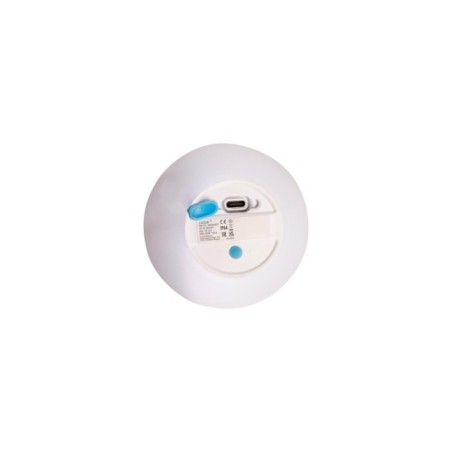 Outdoor LED Pine Table Lamp (1W)