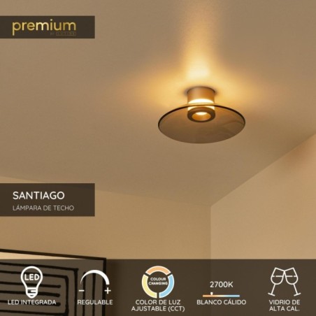 LED Ceiling Light Santiago (10W)