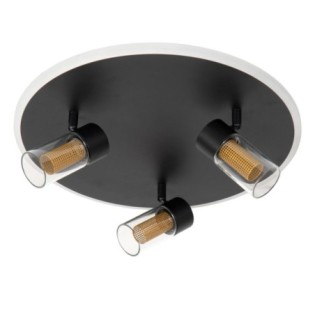 Everina LED Ceiling Light (3x5W)