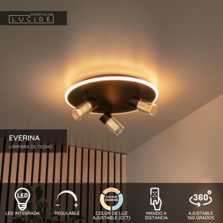 Everina LED Ceiling Light (3x5W)