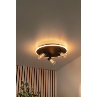Everina LED Ceiling Light (3x5W)